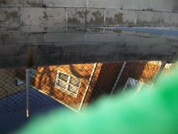 vette3.jpg