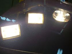 100_4451.jpg
