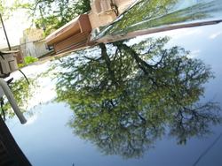 bmw10.jpg