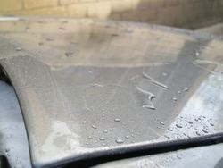106-1.jpg