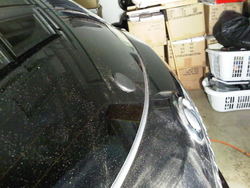 IMG00361-20091201-1846.jpg