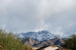 DSC_0425.jpg
