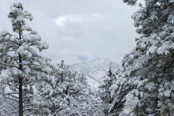 DSC_0495.jpg