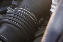 DSC01832.jpg