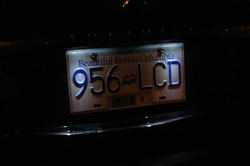 DSC_6273.jpg