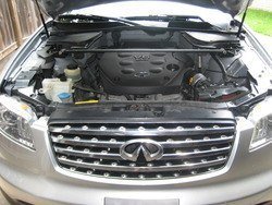 IMG_9304.jpg
