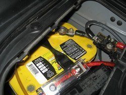 IMG_3455.jpg