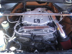 DSC00270.jpg