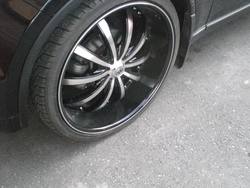 Picture007.jpg