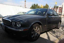 jaguar_whole1.jpg