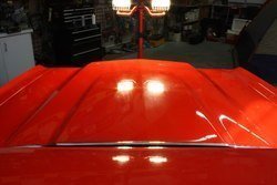 IMG_0981.jpg