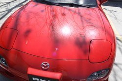 IMG_2284.jpg