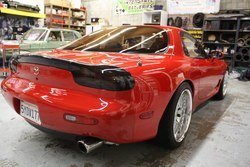 IMG_2319.jpg