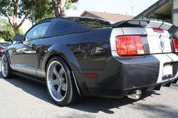 IMG_2568.jpg