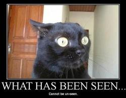 cat_eyes_seen-unseen.jpg