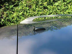 IMG_0239_1.jpg