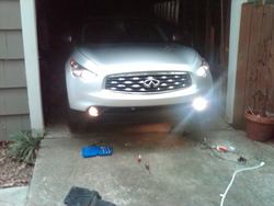 IMG00377-20101113-1522.jpg