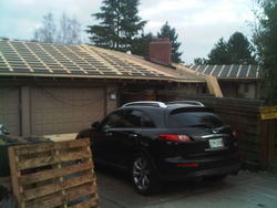 IMG00598-20101116-1624.jpg