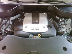 IMG00550-20110424-0826.jpg