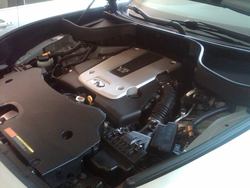 IMG00549-20110424-0826.jpg