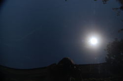 DSC_0996.jpg