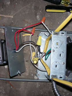 DSCN7742.jpg