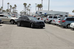 IMG_2520.jpg