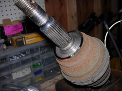 DSCN2426.jpg