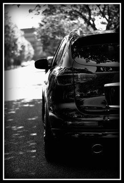 DSC_1007-1.jpg