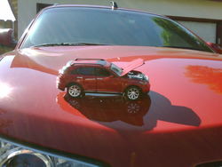 IMG00294-20100911-1547.jpg