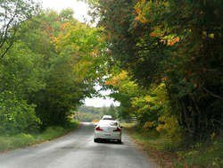IMG_0406_1.jpg