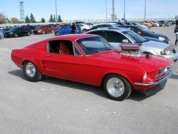 IMG_0441_1.jpg