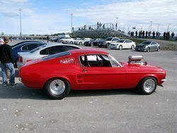 IMG_0440_1.jpg