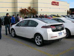 IMG_0353_1.jpg