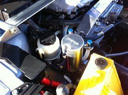 IMG_0019.jpg