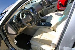 IMG_4150.jpg