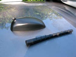 IMG_0229_1.jpg