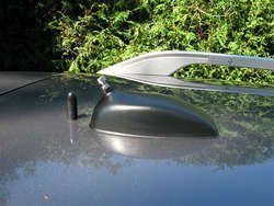 IMG_0241_1.jpg