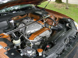 DSCN0146.jpg