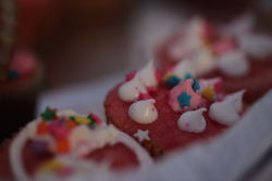 IMG_4520.jpg