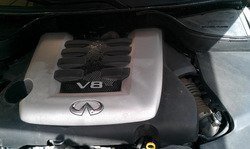 IMAG0040.jpg