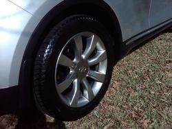 IMG00373-20101113-1107.jpg