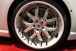 IMG_3442.jpg