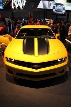 IMG_3438.jpg
