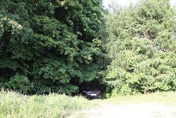 i-319.jpg