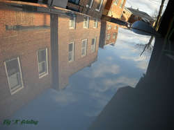 62.jpg