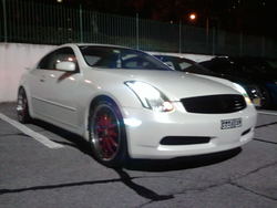 2010-11-10221141.jpg