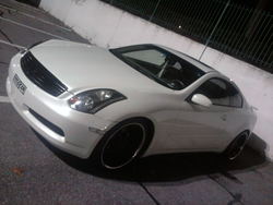 2010-11-03233552.jpg
