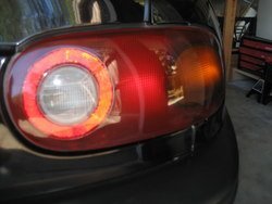 IMG_3130.jpg