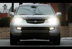 x1.jpg